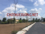 Bán gấp 5002m2 đất công nghiệp tại Xuân Trường, Nam Định giá tốt