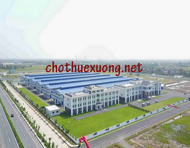 Bán đất vị trí đẹp trong khu công nghiệp Phúc Sơn, thành phố Ninh Bình DT 3ha