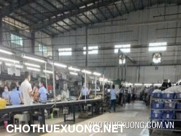 Cho thuê nhà xưởng may 3.800m² tại KCN Khánh Phú- Ninh Bình