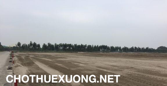 Chuyển nhượng đất 5000m2 KCN Thuận Thành 3 Bắc Ninh