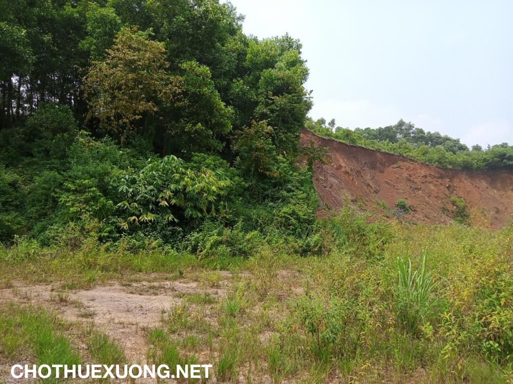 Chuyển nhượng 2ha đất sản xuất 50 năm đã trả tiền 1 lần tại huyện Nga Sơn, Thanh Hóa
