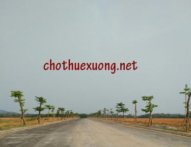 Cho thuê đất công nghiệp tại Quảng Nam, khu công nghiệp Tam Anh DT 5000m2