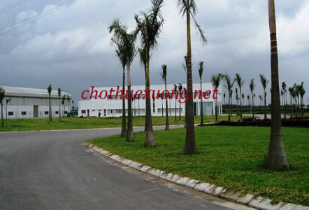 Cho thuê đất công nghiệp tại Bắc Ninh huyện Từ Sơn DT 1ha