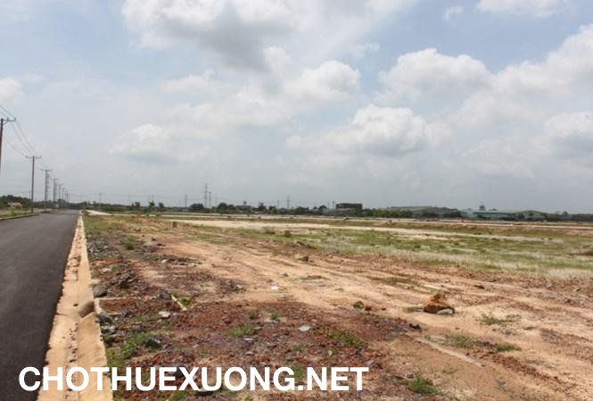 Bán 1ha đất trống trong KCN Tam Nông, Phú Thọ