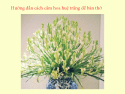 Hướng dẫn cách cắm hoa huệ trắng để bàn thờ