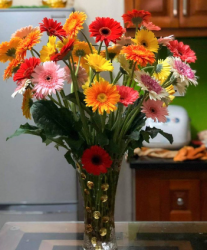 Hoa đồng tiền với thắp hương được ko vậy?