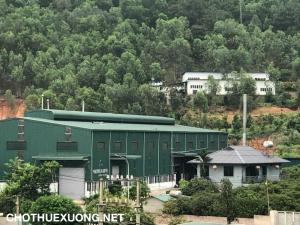 CHO THUÊ XƯỞNG 1000m2 TẠI PHƯỜNG XUÂN HÒA, VĨNH PHÚC