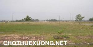 Cho thuể đất sản xuất 5000m2 ở Từ Sơn Bắc Ninh