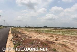 Bán 1ha đất trống trong KCN Tam Nông, Phú Thọ