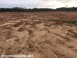 Bán đất công nghiệp 1ha trong KCN Thuận Thành 3 Bắc Ninh