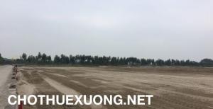 Chuyển nhượng đất 1ha trong KCN Thuận Thành 3 Bắc Ninh
