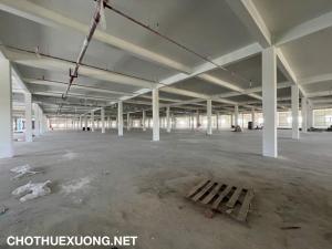 Cho thuê nhà xưởng 17.000m2 tại cụm CN, huyện Yên Dũng Bắc Giang