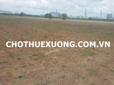 Cho thuê đất công nghiệp tại Quỳnh Phụ Thái Bình 1,5ha có thể bán
