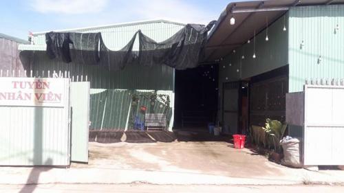Cho thuê nhà xưởng Hố Nai, Biên Hòa 15tr