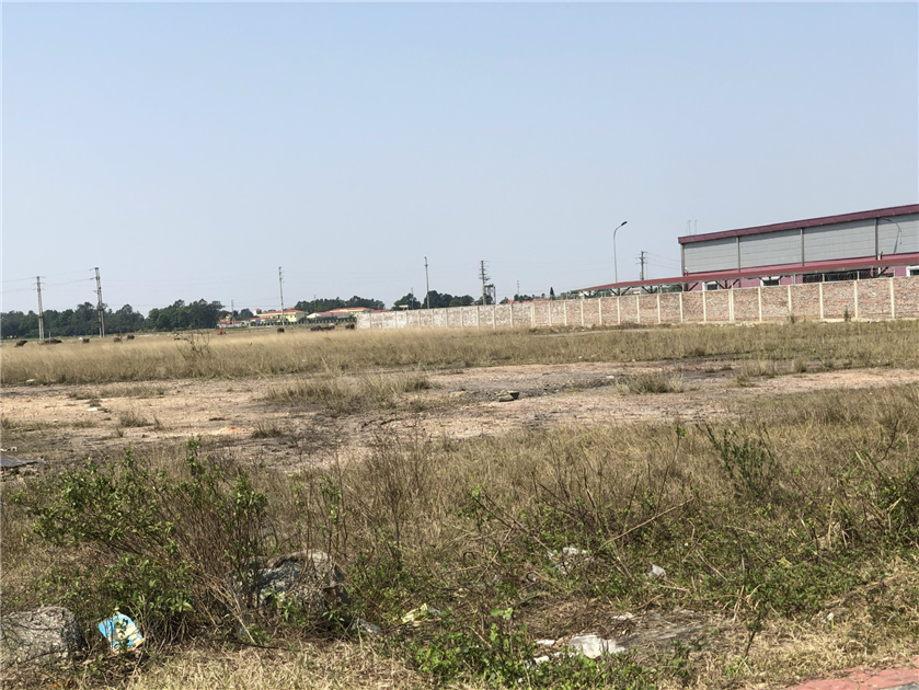 Dự án cho thuê đất công nghiệp gần KCN Thuận Thành 3 Bắc Ninh