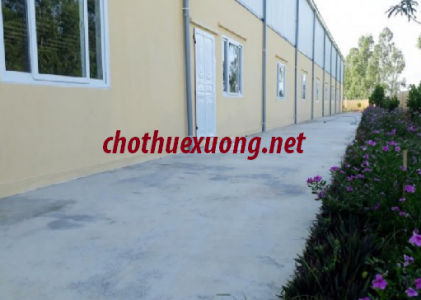 Cho thuê kho xưởng cực đẹp mới xây tại Quỳnh Phụ, Thái Bình giá tốt