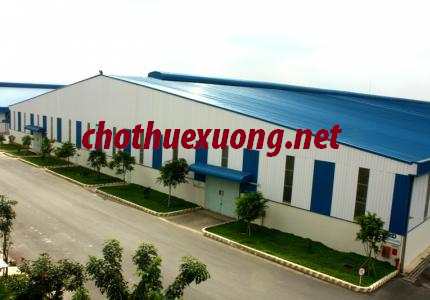 Cho thuê nhà xưởng đẹp mới tại khu công nghiệp Phú Nghĩa, Chương Mỹ Hà Nội 1002m2, 2005m2