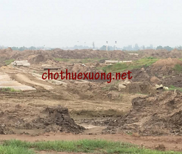 Cho thuê đất công nghiệp tại Hậu Lộc, Thanh Hóa DT 10.000m2