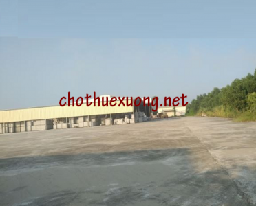 Cho thuê nhà xưởng tại thị xã Phú Thọ DT 3002m2 giá rẻ