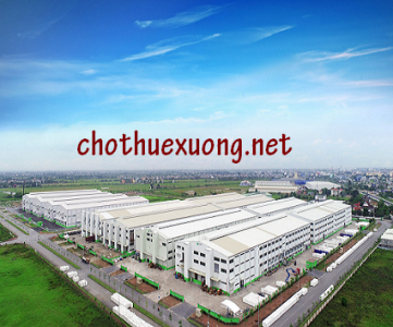 Chính chủ cho thuê nhà xưởng trong KCN An Phát, thành phố Hải Dương DT 6500m2