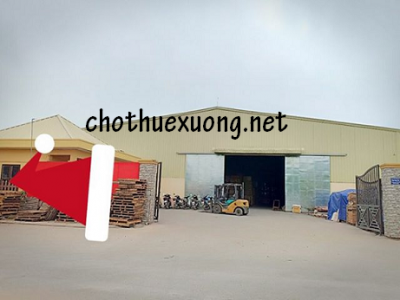 Cho thuê nhà xưởng mới xây tại Vũ Ninh Kiến Xương Thái Bình gần cầu Kìm giá tốt