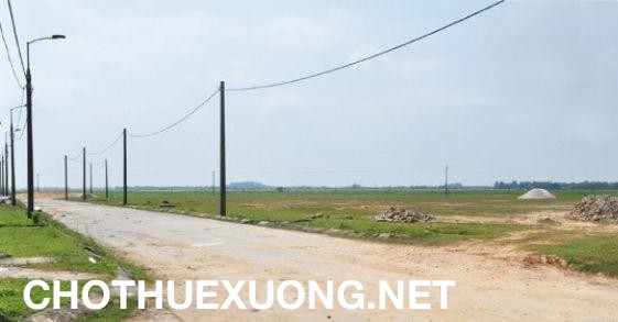 Bán đất diện tích 4ha tại Ninh Giang Hải Dương
