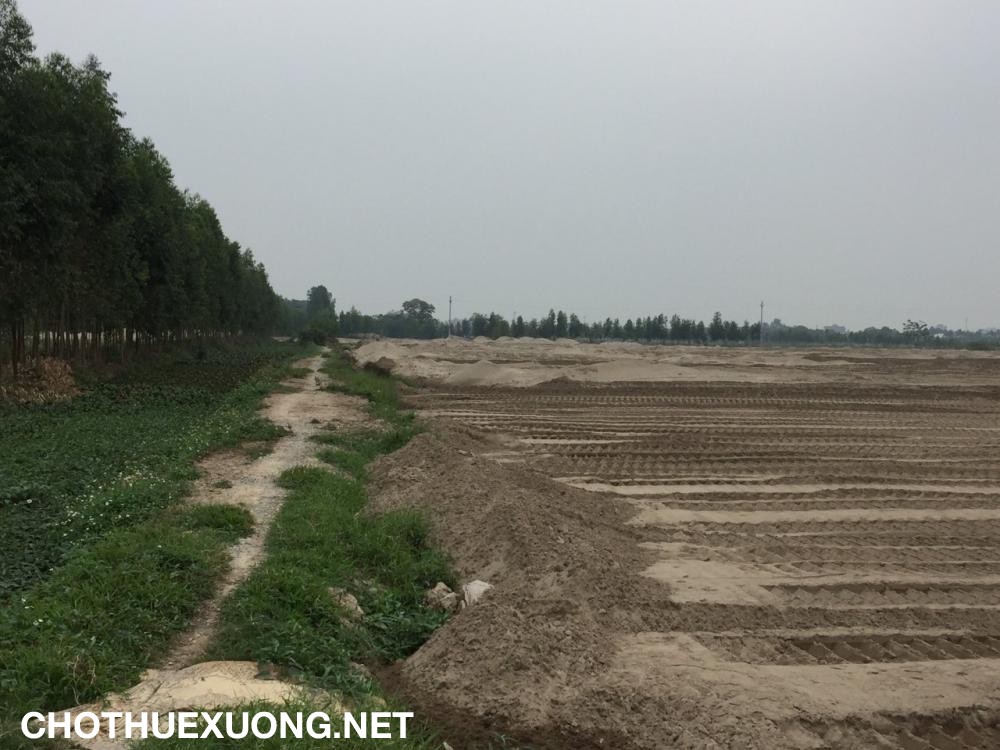 Chuyển nhượng đất lâm nghiệp 4320 m2 tại Thị xã Chí Linh Hải Dương