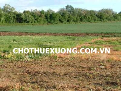 Bán đất công nghiệp 3ha tại Vụ Quang - Đoan Hùng - Phú Thọ