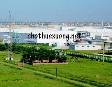 Chuyển nhượng gấp đất Khu công nghiệp Phú Nghĩa Hà Nội DT 4000m2