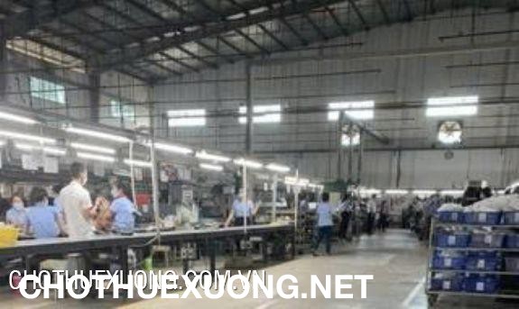 Cho thuê xưởng may 5000m2 tại KCN Tam Điệp- Ninh Bình